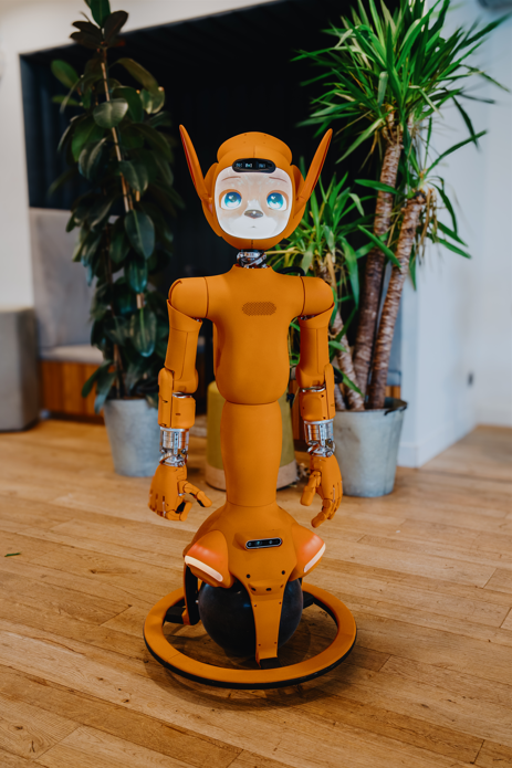 Mirokaï Robot